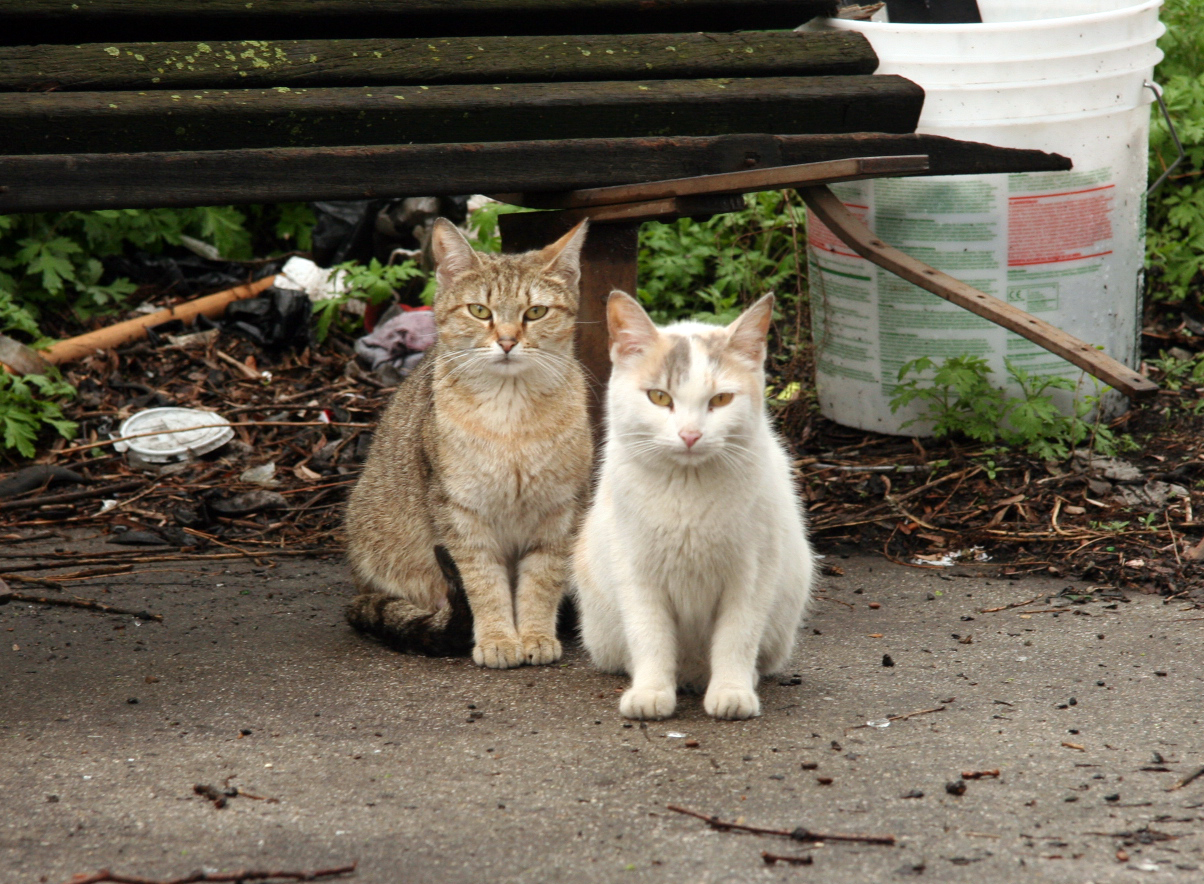 Staying Together on Division