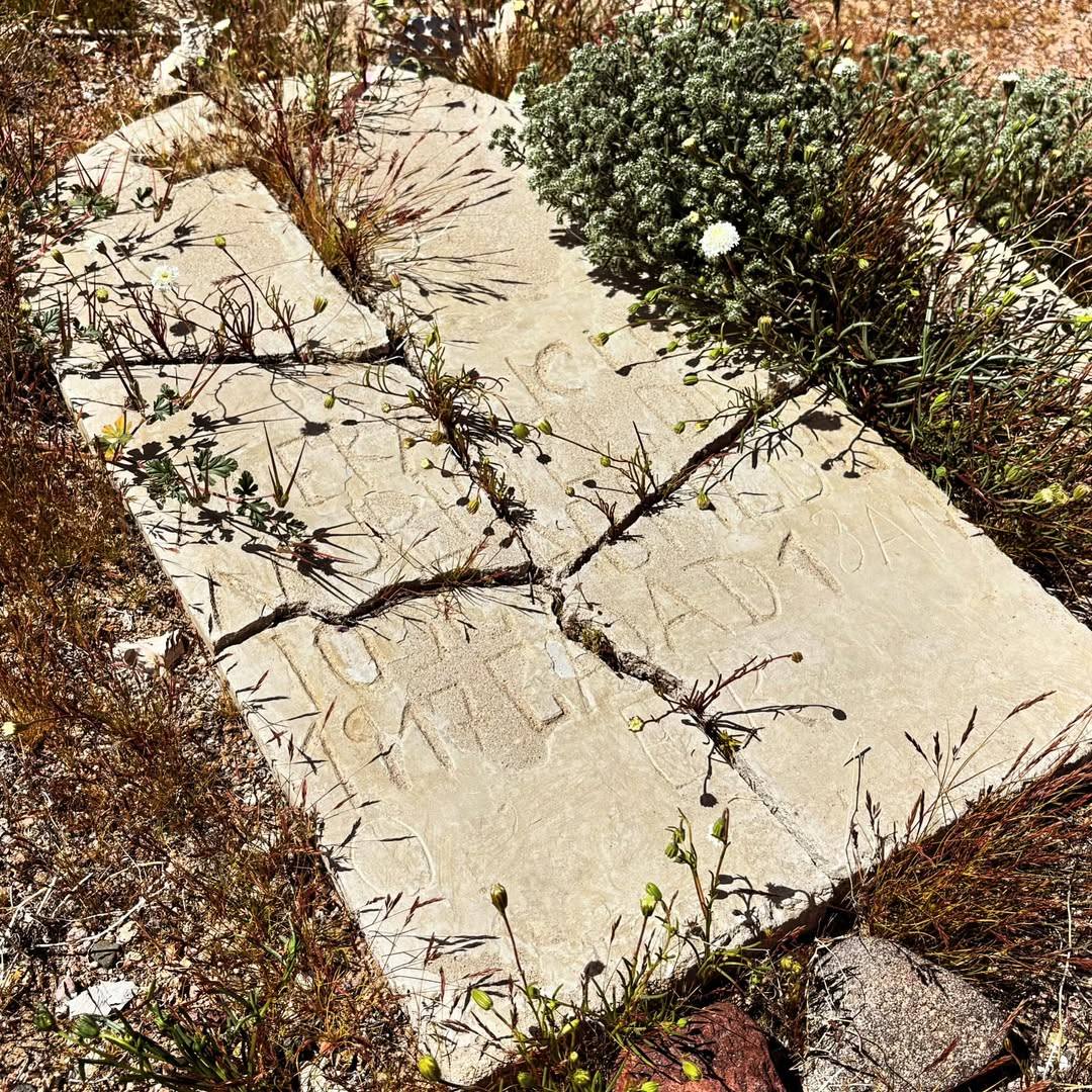 Desert Grave
