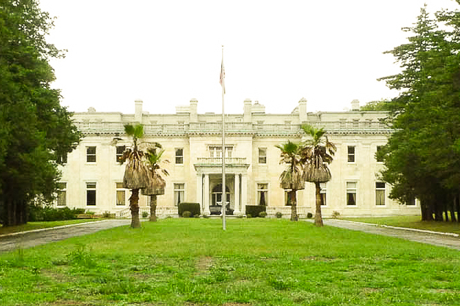 Palm Trees At The Woolworth Estate