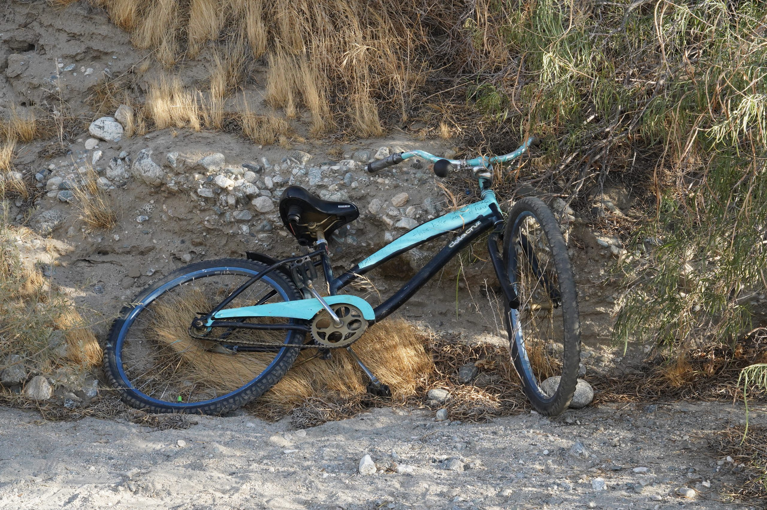 Desert Bike